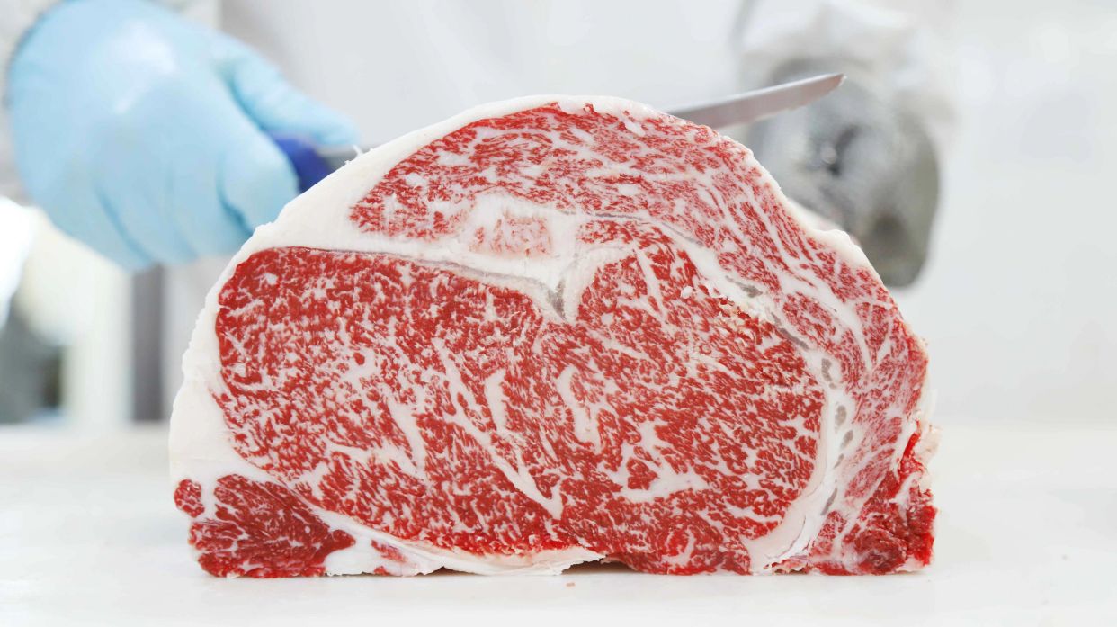 沃金和牛(沃金黑牛)