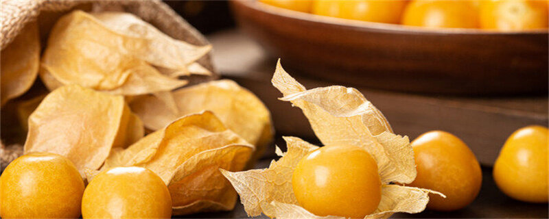 花毛莨的养护知识