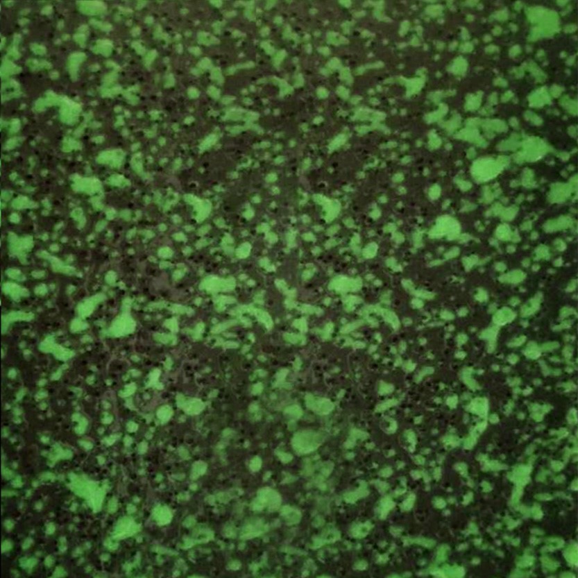 mma彩色防滑路面主要有哪几种?mma彩色防滑路面类型分别是什么?