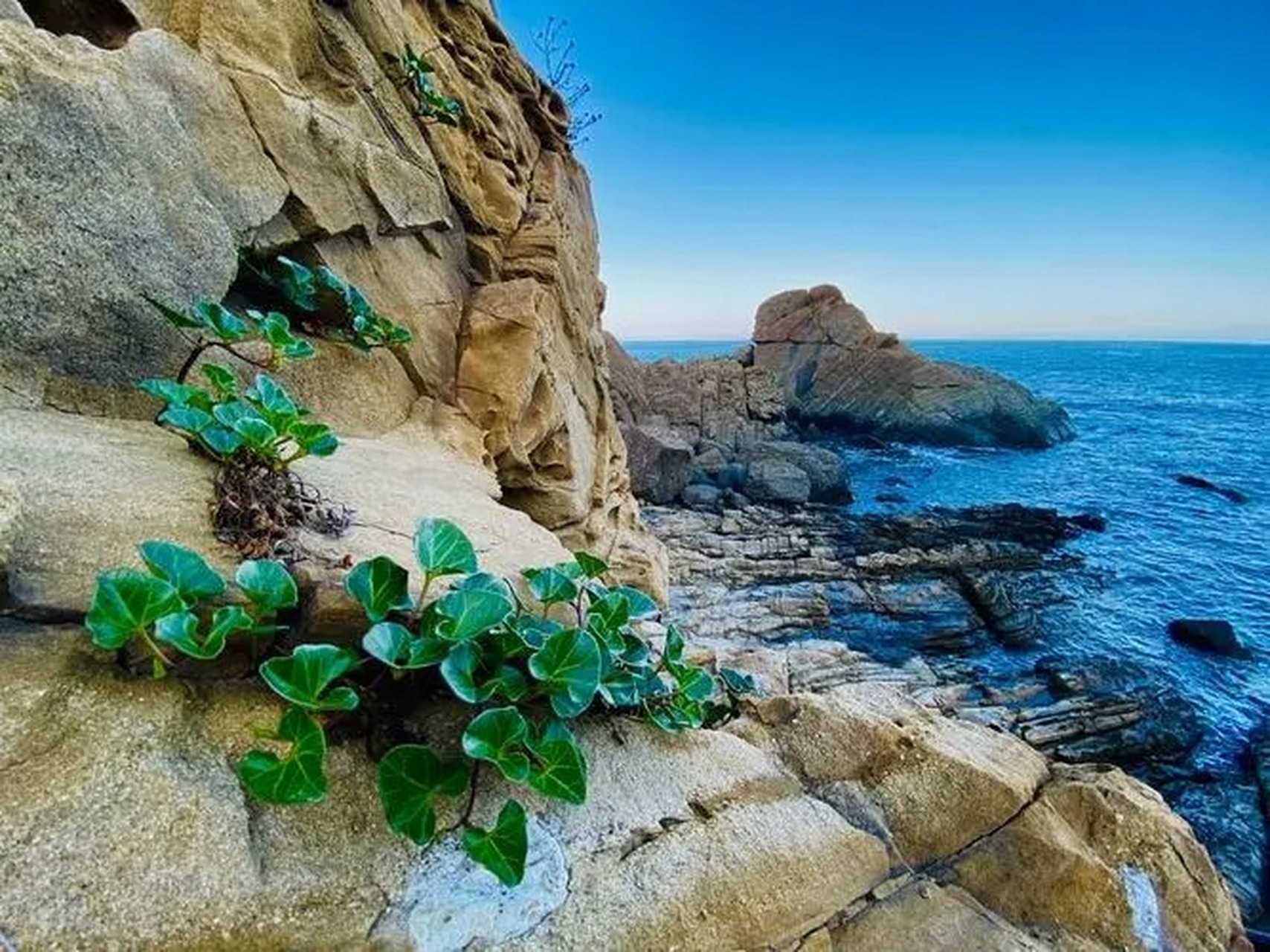 哈佛家训强调培养孩子独立自主的秘诀,包括自信心,独立思考能力,责任