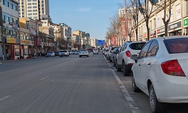 清徐凤仪街(文源路至紫林路段)智慧停车泊位收费