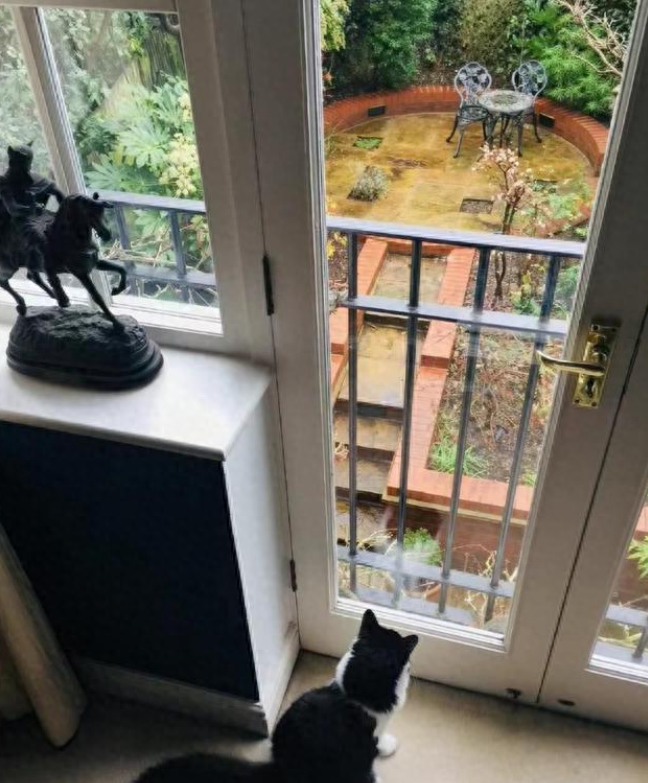 回顾看到费翔的豪宅后突然觉得一个人好像也不错他生活得怎样