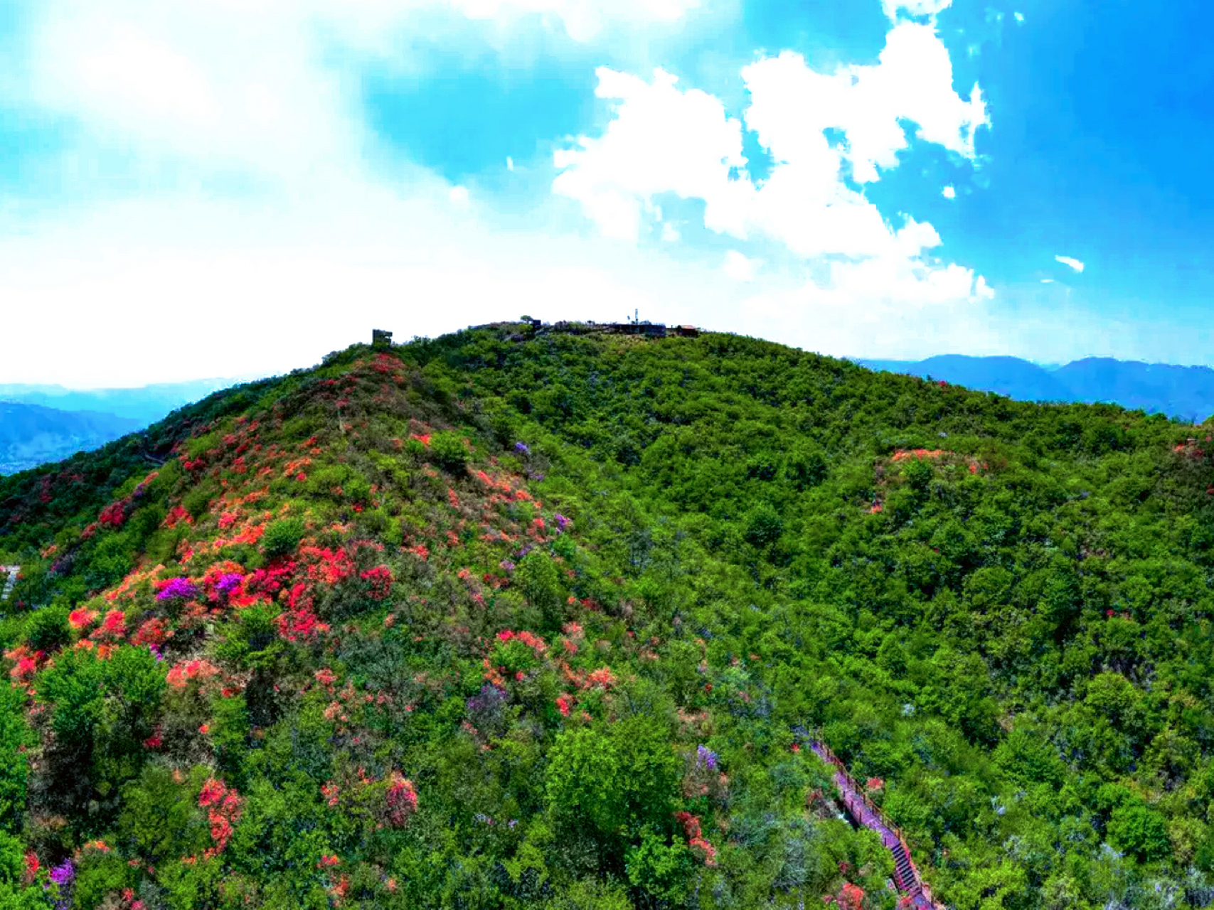 想要留住杭州的春天,总要去一趟鸬鸟山吧,当漫山遍野的杜鹃花呈现姹紫