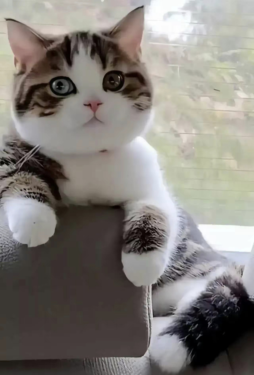 猛然间,我恍然大悟!