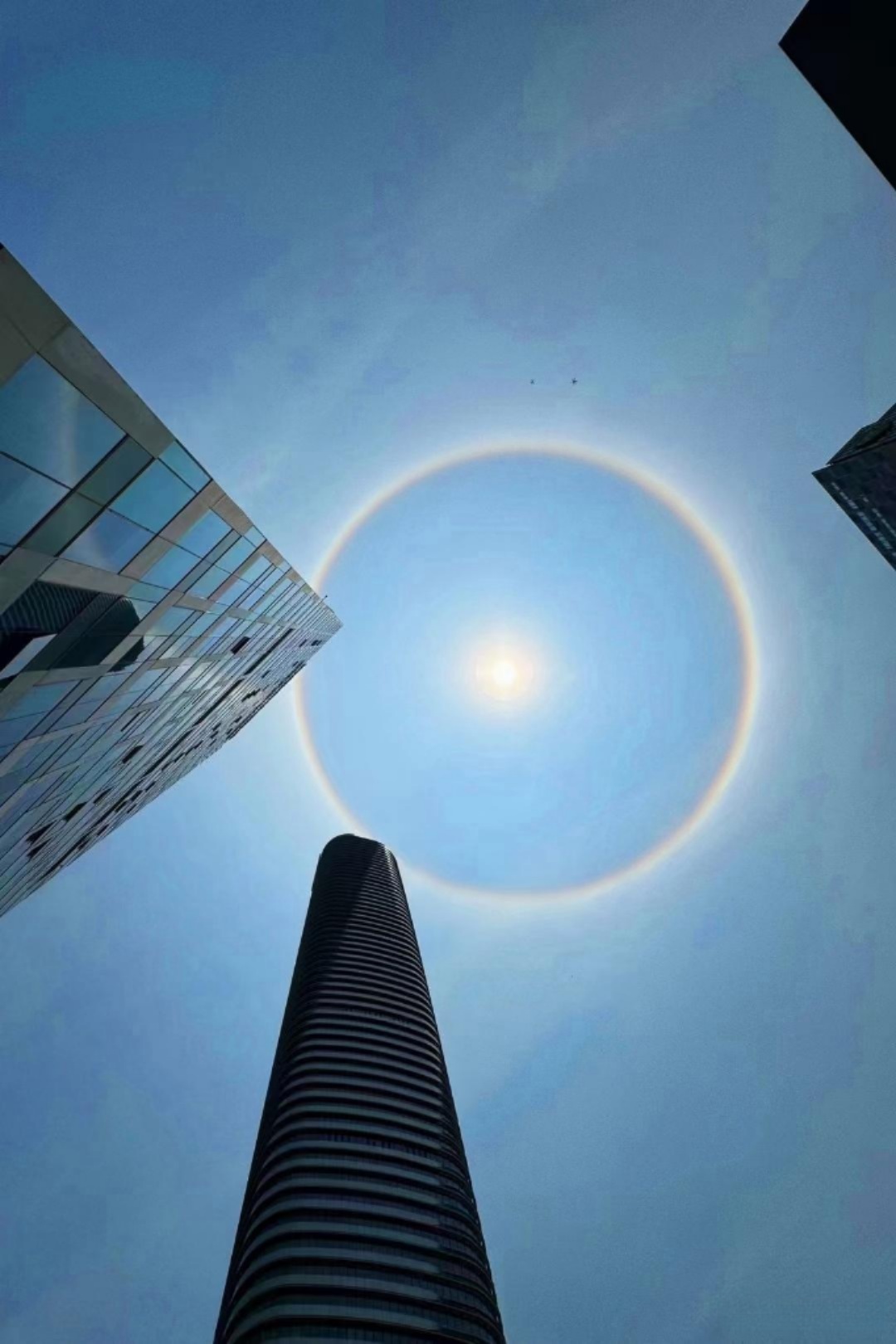 深圳天空出现日晕好久没有见过这种天象奇观了就像是大日如来身后的