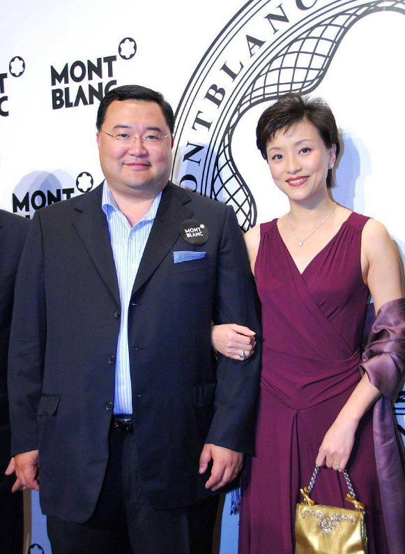 央视名嘴杨澜赴美留学却嫁入豪门丈夫吴征财产学历争议不断