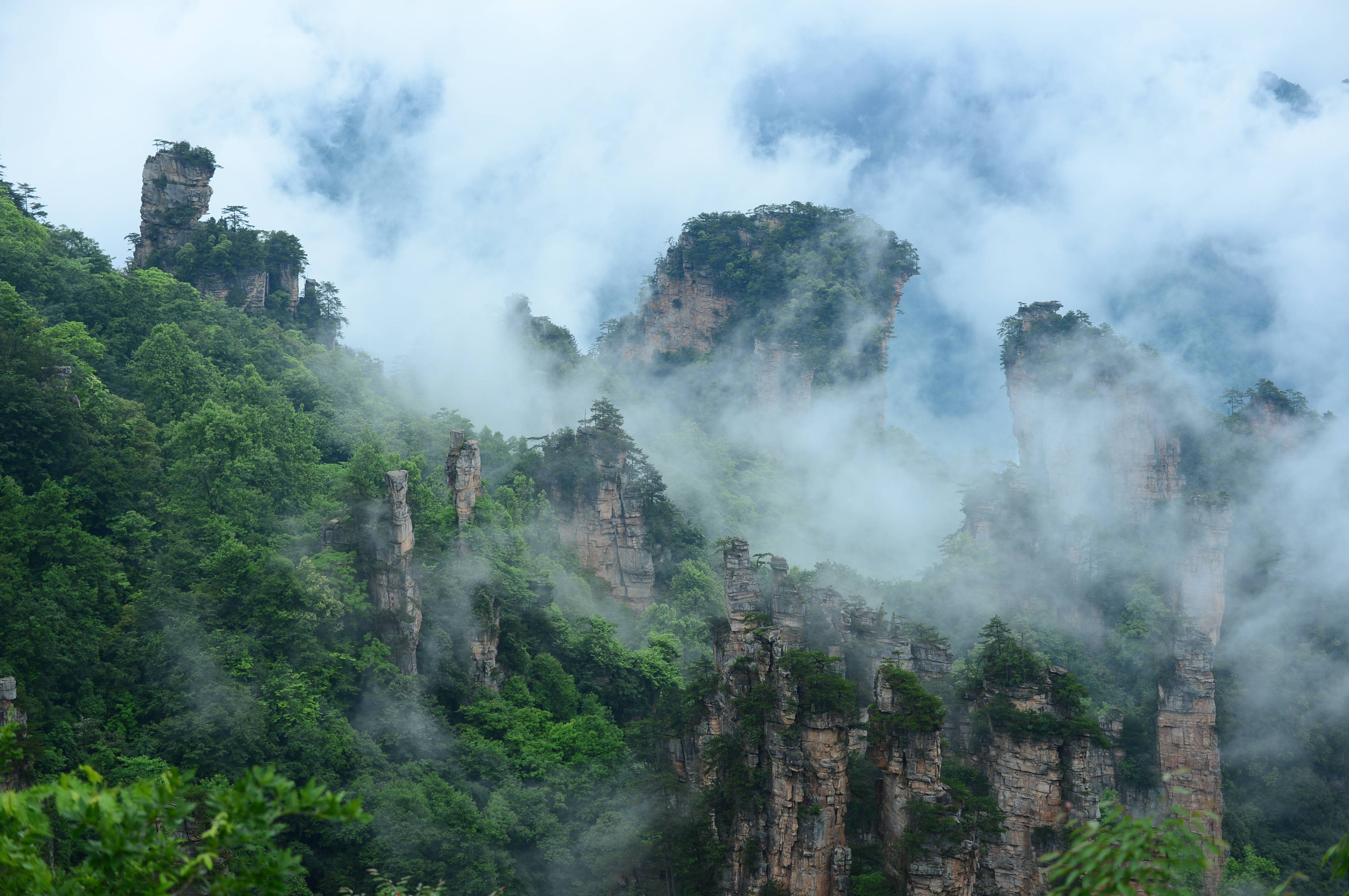 天子山云海图片