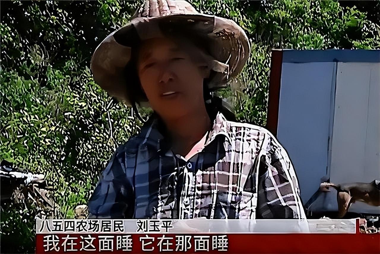 06年黑龙江大姐将蛇赶走隔日蛇携伴侣入住15年孕育上百条小蛇