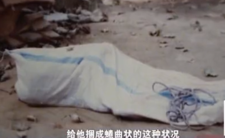 劝解的话都没敢说出口,只能机械的顺从他的意思,用手扼住了高辉的脖颈