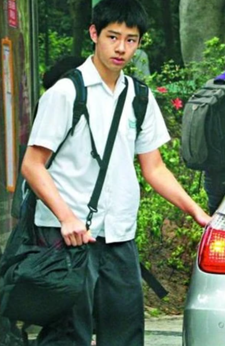 回顾香港6大歌王的孩子陈奕迅女儿有颜值许冠杰儿子患癌暴瘦