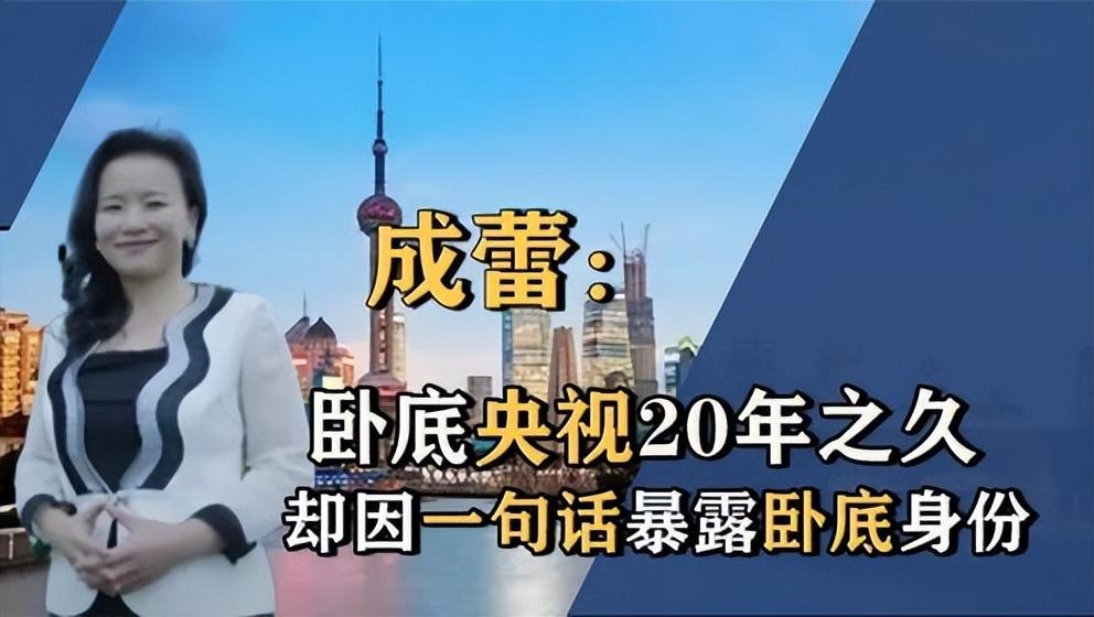 央视间谍成蕾潜伏中国20年造成上千亿损失结局大快人心