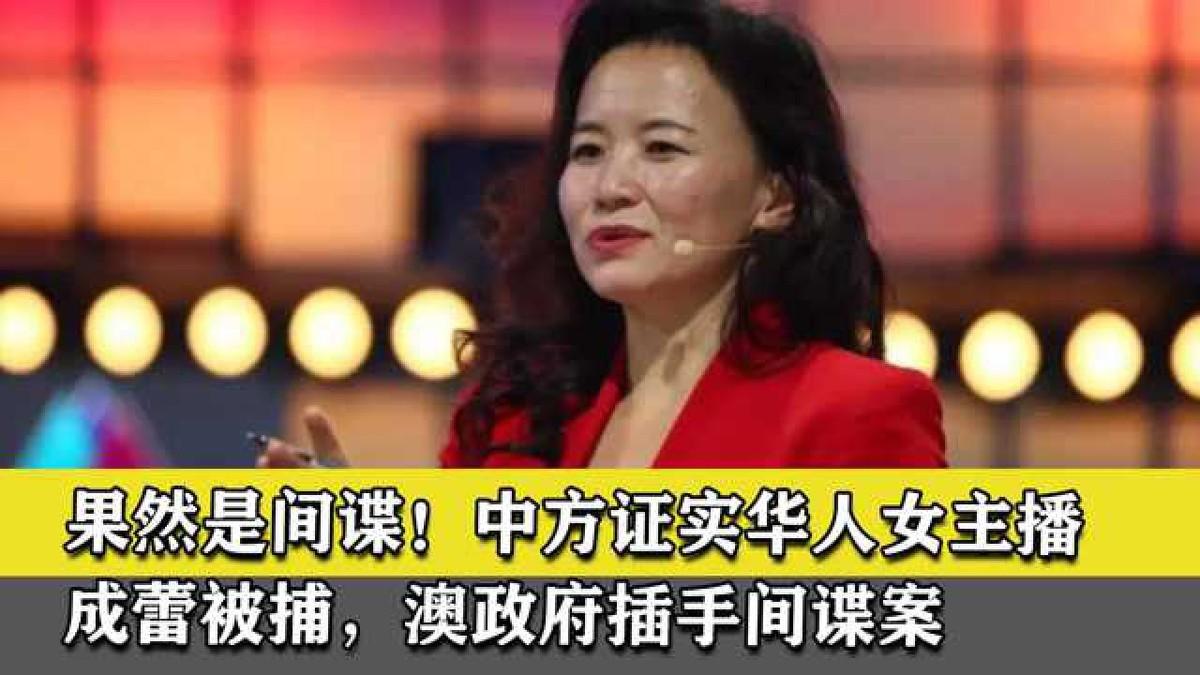 央视间谍成蕾潜伏中国20年造成上千亿损失结局大快人心