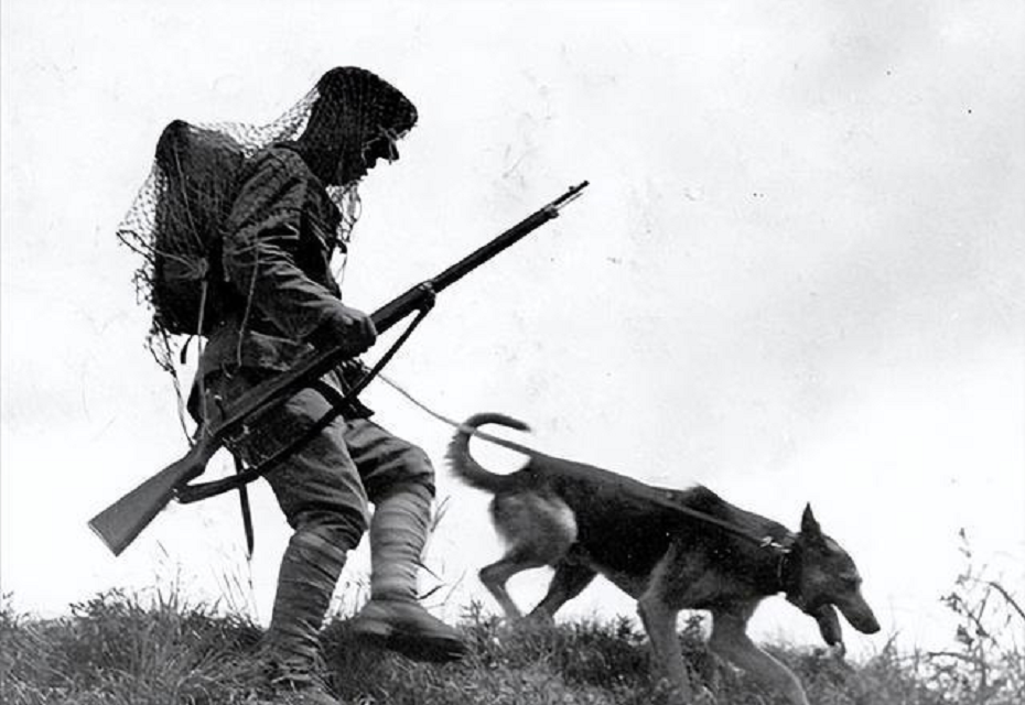 1939年一八路军战士被关进狼狗池他拉起武术架势让凶兽臣服