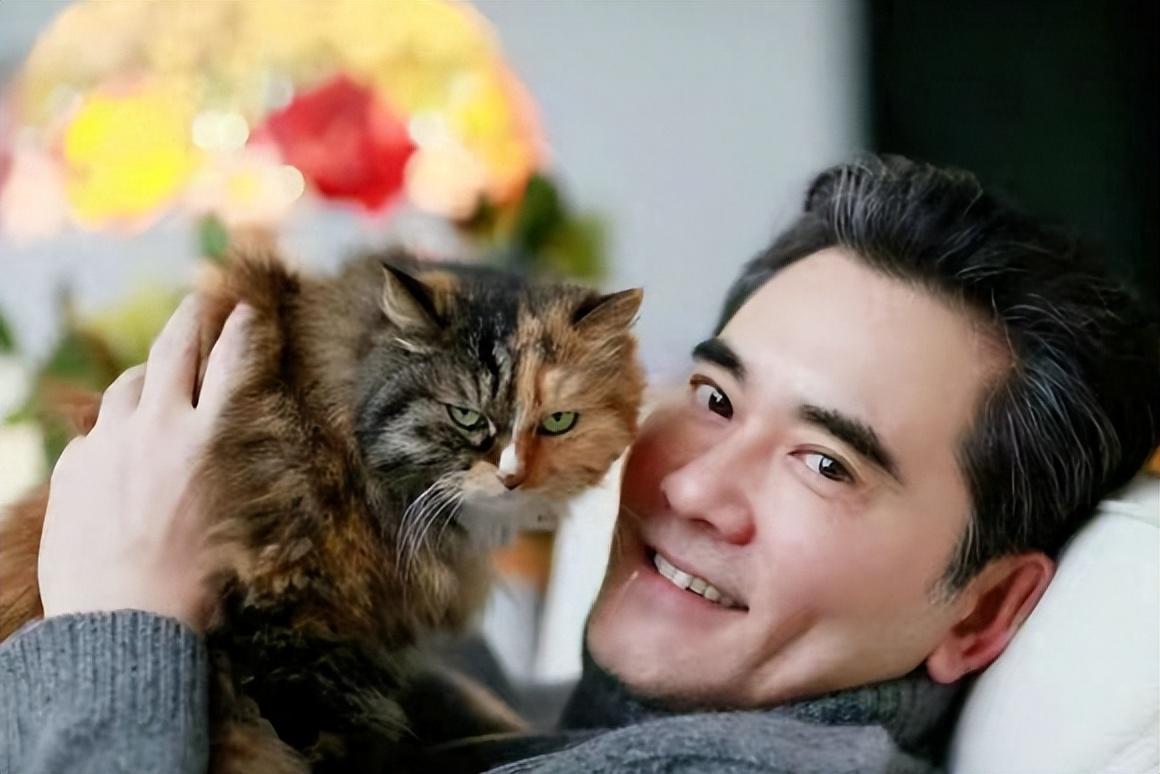 回顾这次63岁发福后依旧迷之自恋赵文瑄让人大跌眼镜