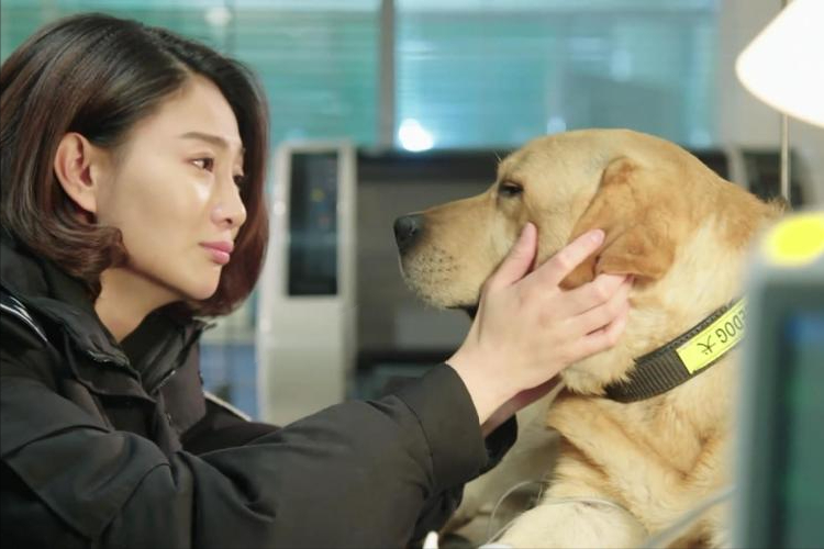 听了父亲的劝导,她便抱着跃跃欲试的态度报考了南大的戏剧影视专业