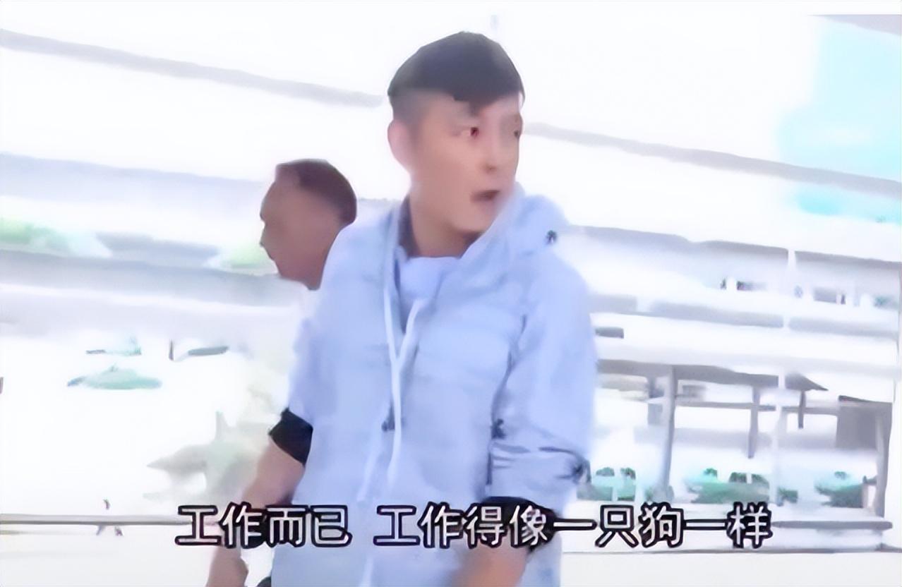 回顾明星怼记者名场面张雨绮王菲人狠话不多周星驰为爱国发飙