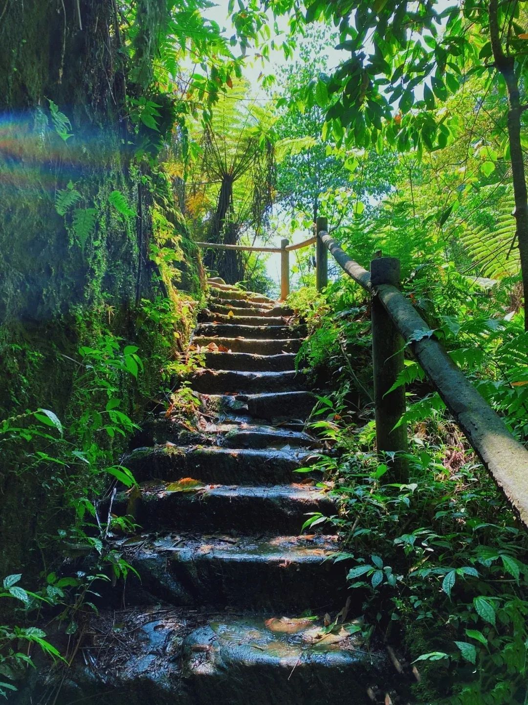 走到户外撒野去