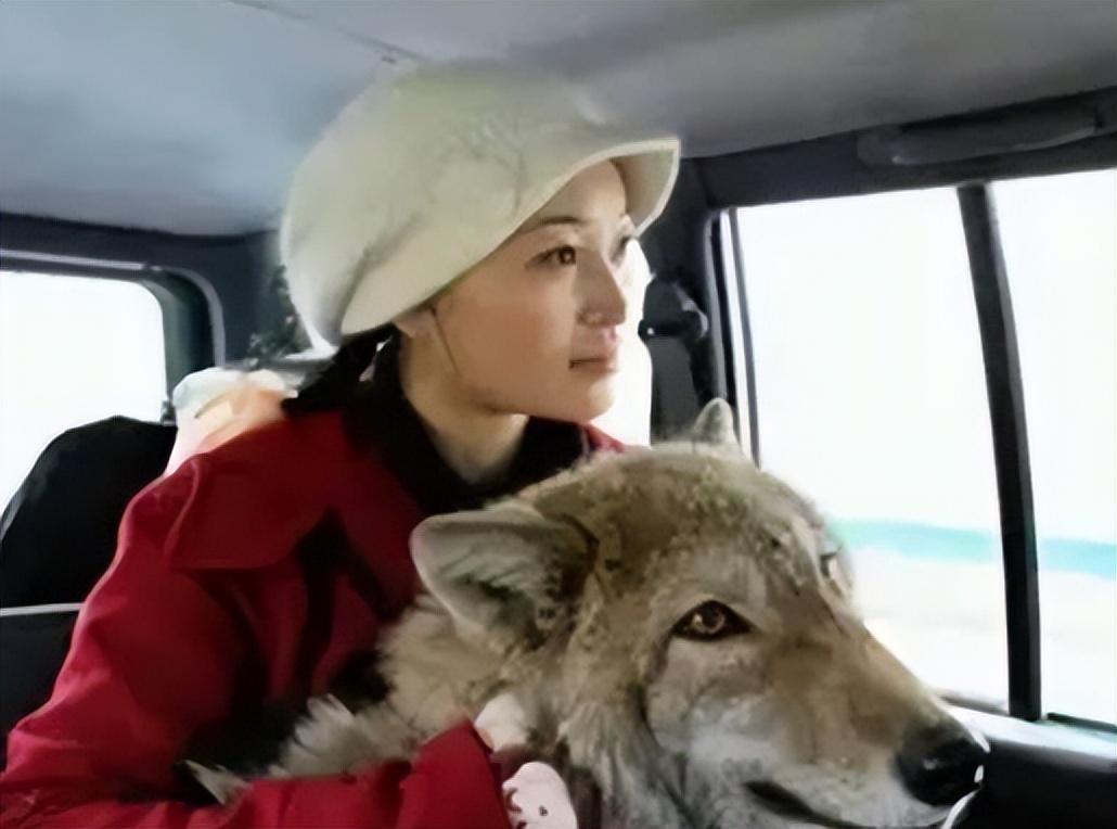 回顾把狼当儿子养的四川妹子10年后再次相认结局如何