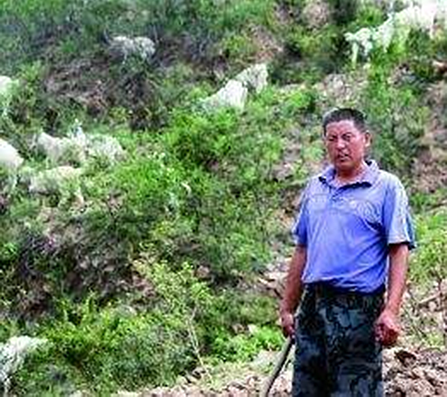 2014年7月15日,下午五点,河北涞源县王安镇.