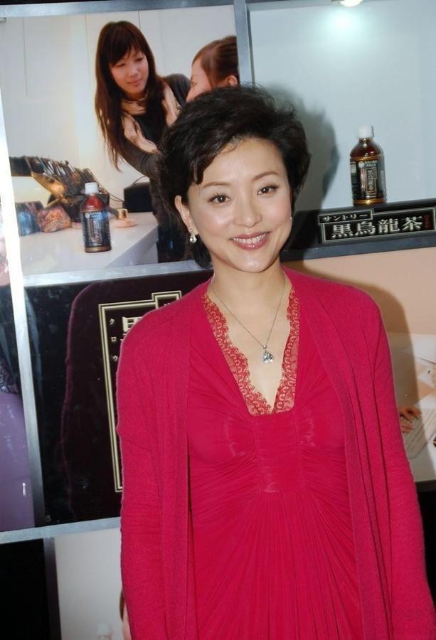 央视名嘴杨澜赴美留学却嫁入豪门丈夫吴征财产学历争议不断