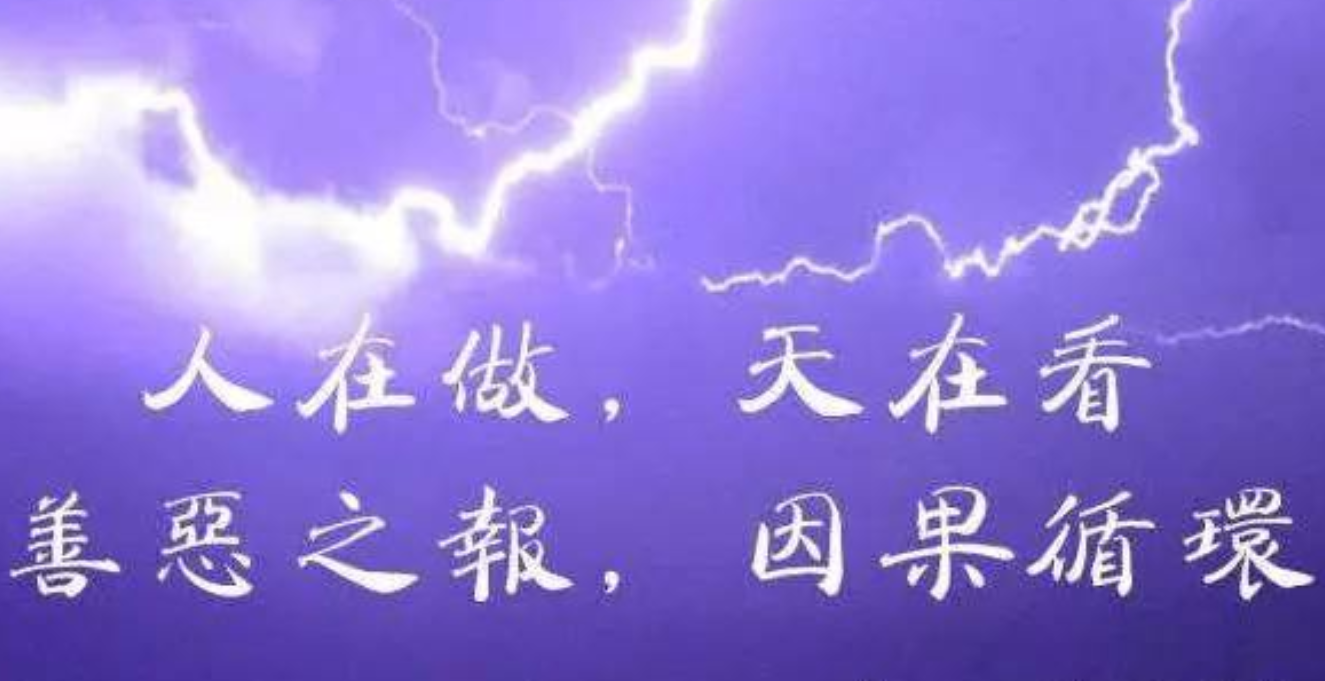 尘封卷宗有隐秘,水泥之下现真相