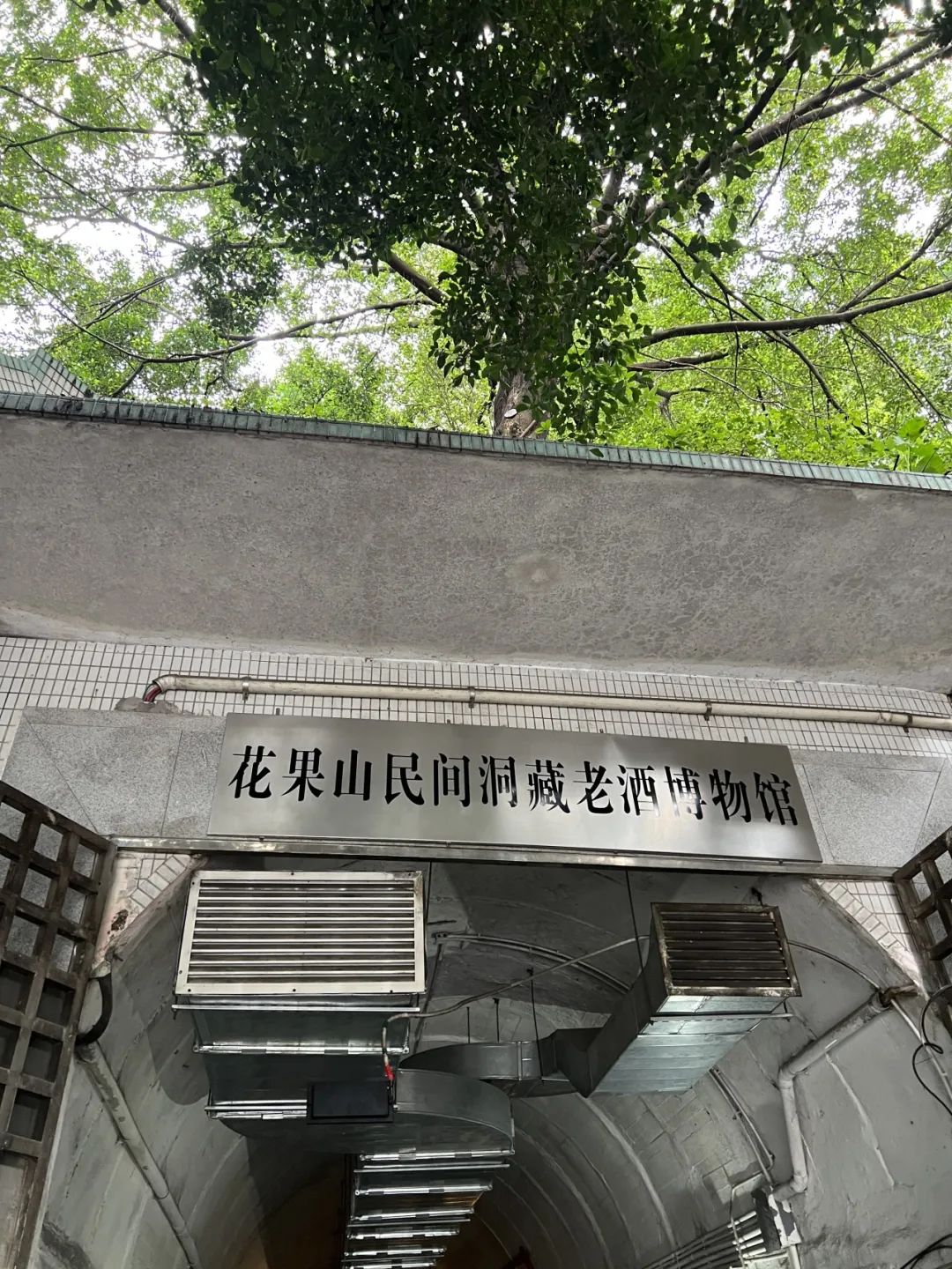 广州现5公里长的防空洞酒窖,存放着上千吨百年老酒