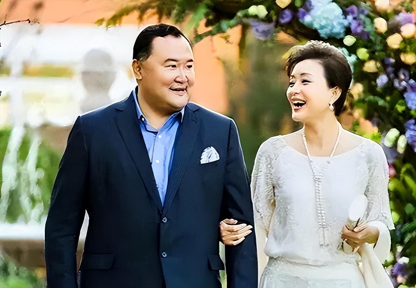 央视名嘴杨澜赴美留学却嫁入豪门丈夫吴征财产学历争议不断