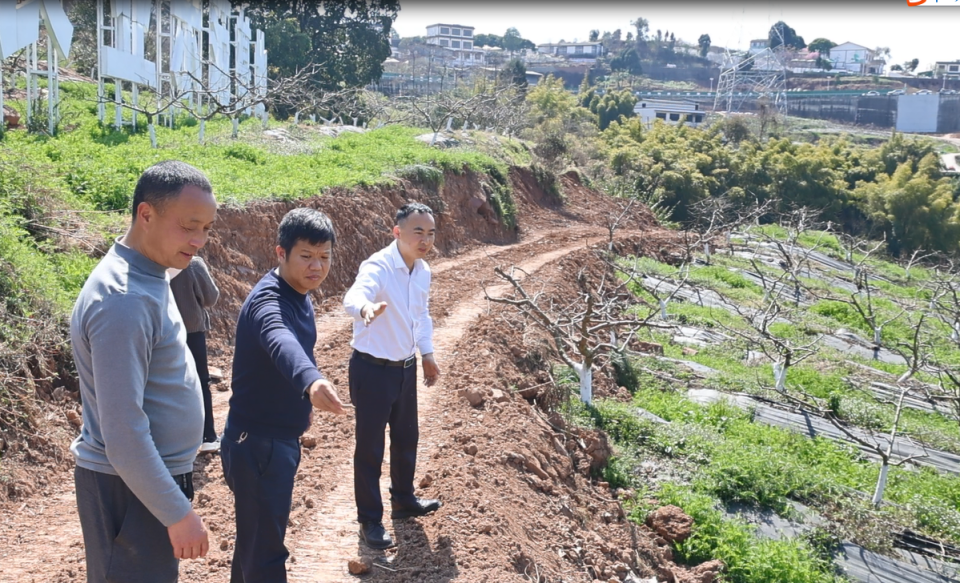 我的经历136退而不休62参加梁漱溟乡建59头雁计划2