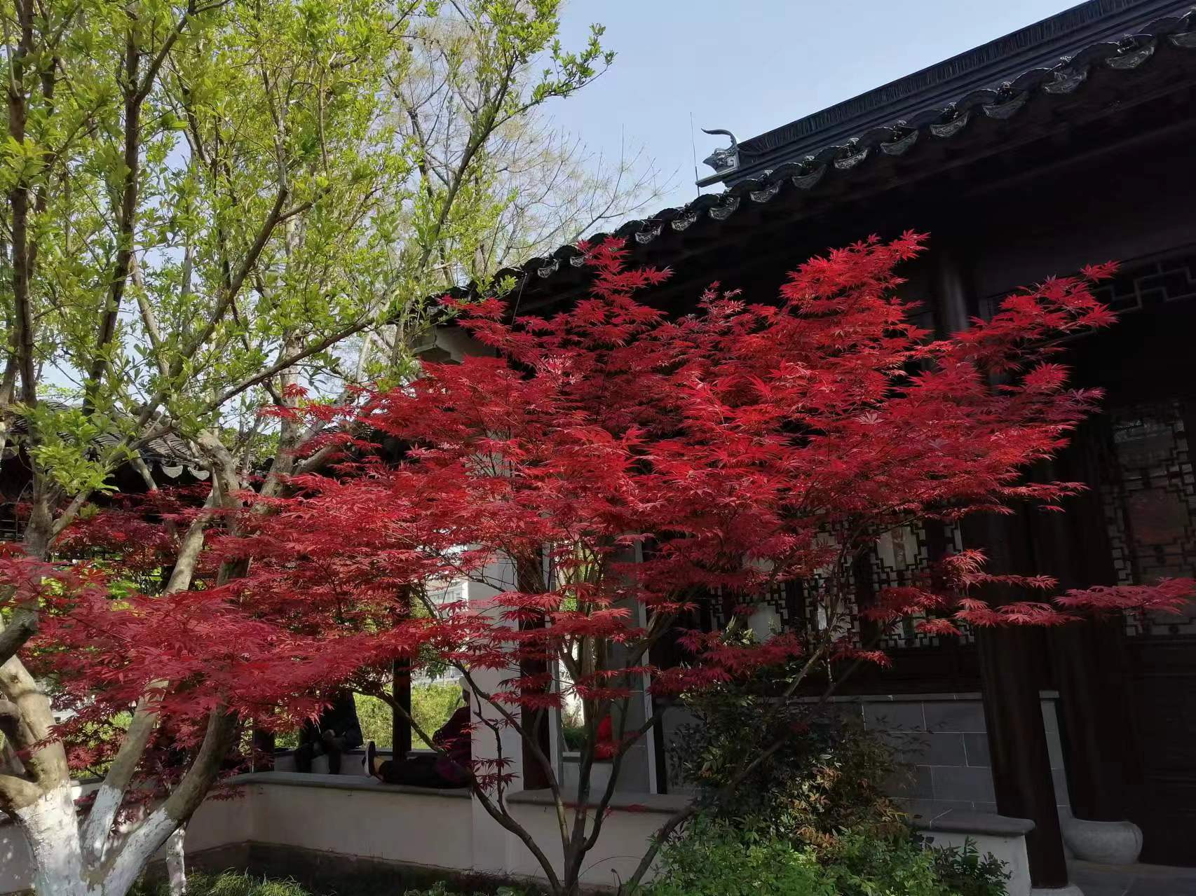 有句老话说的好 自古神仙无别法 只生欢喜不生愁