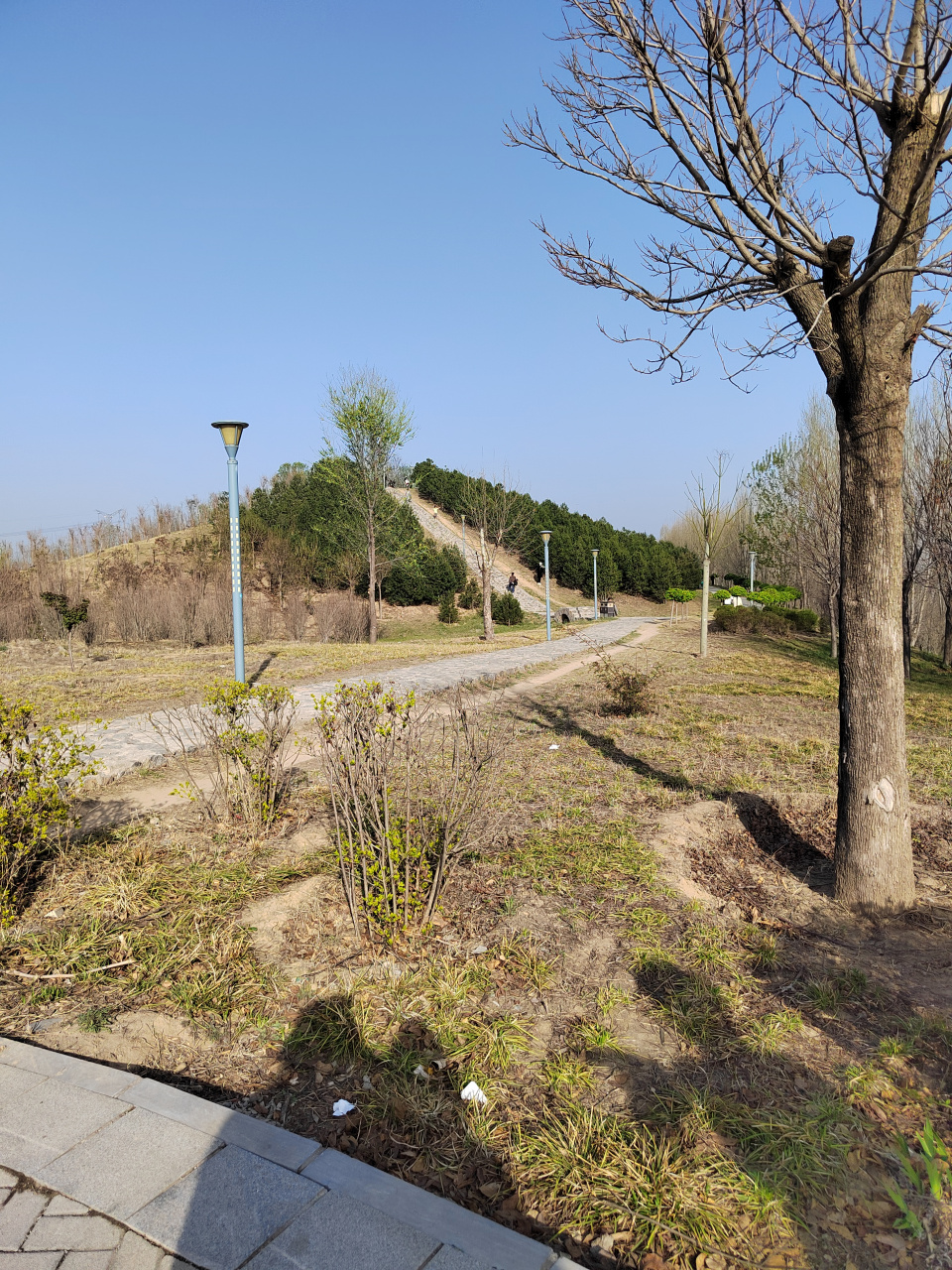 濮阳龙山公园风景图片图片