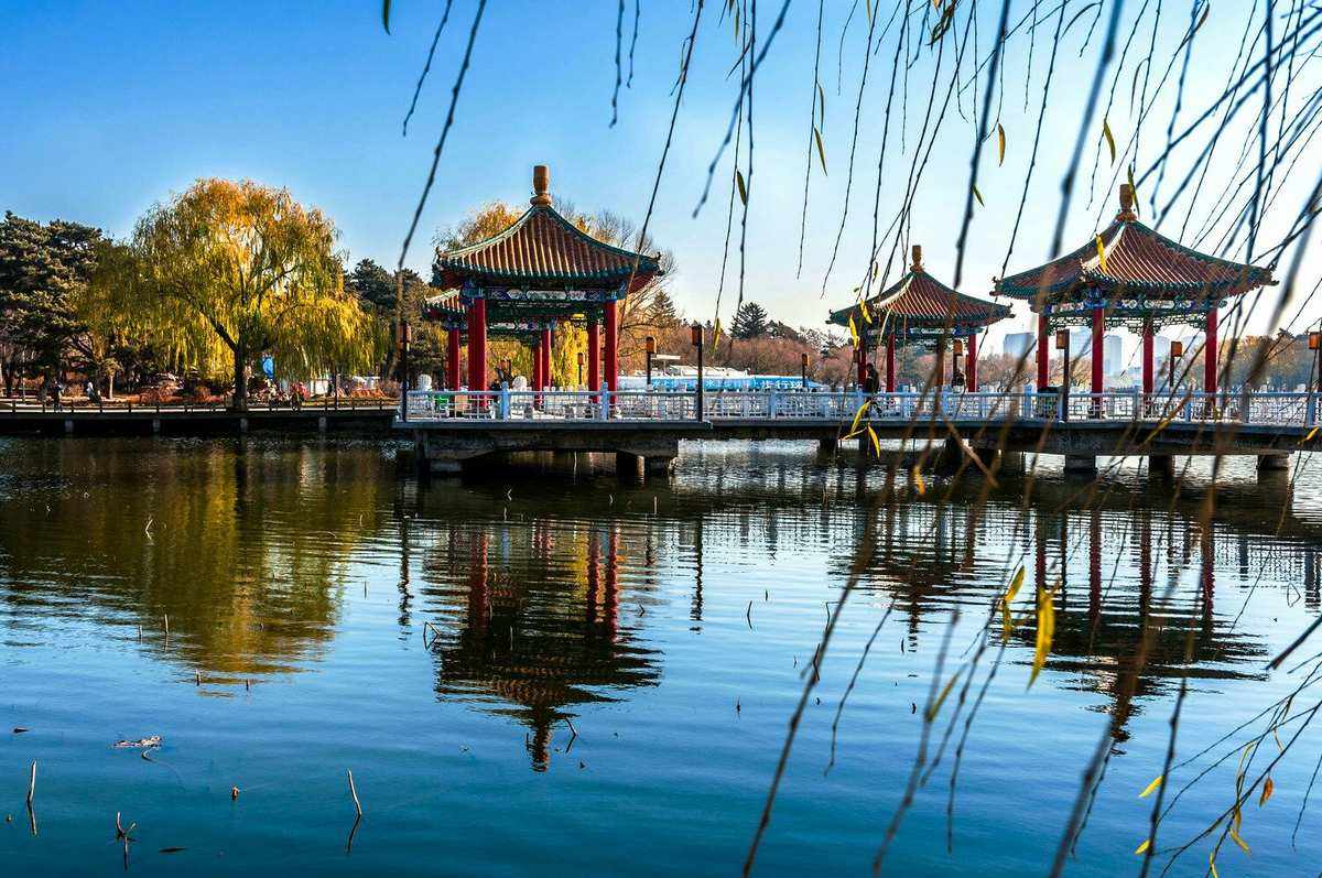 岸上莺歌春日景,湖边人醉百花丛,长春南湖公园的春天