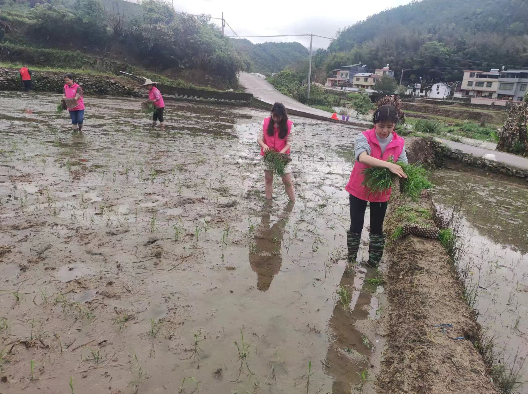 赣州寻乌县人口图片