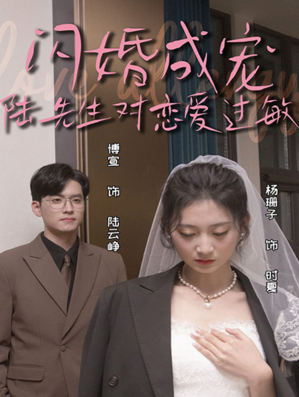 闪婚成宠，陆先生对恋爱过敏