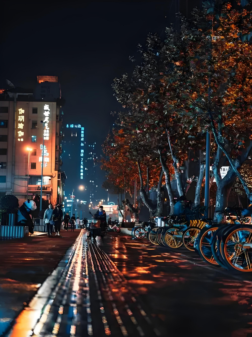 街道夜景图片安静图片