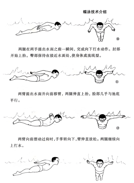 游泳姿势大盘点:你get到几种了?