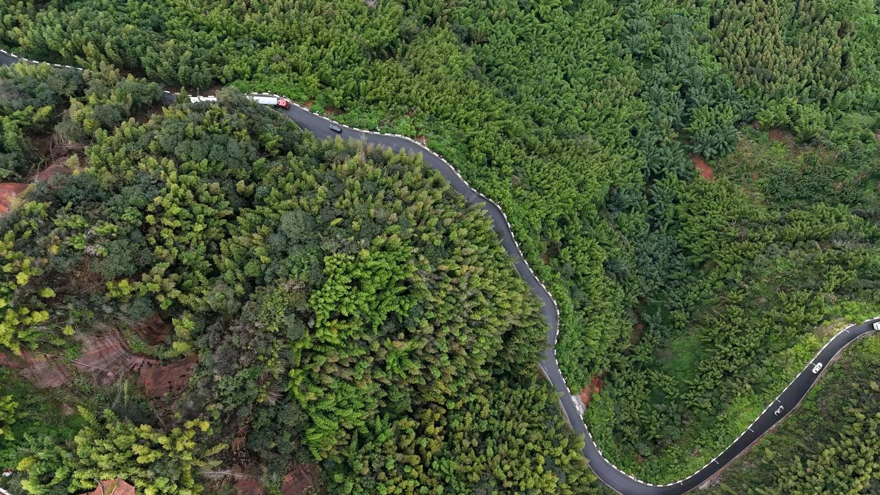 蜀南竹海:翠竹海洋,自然与人文的绝美交融