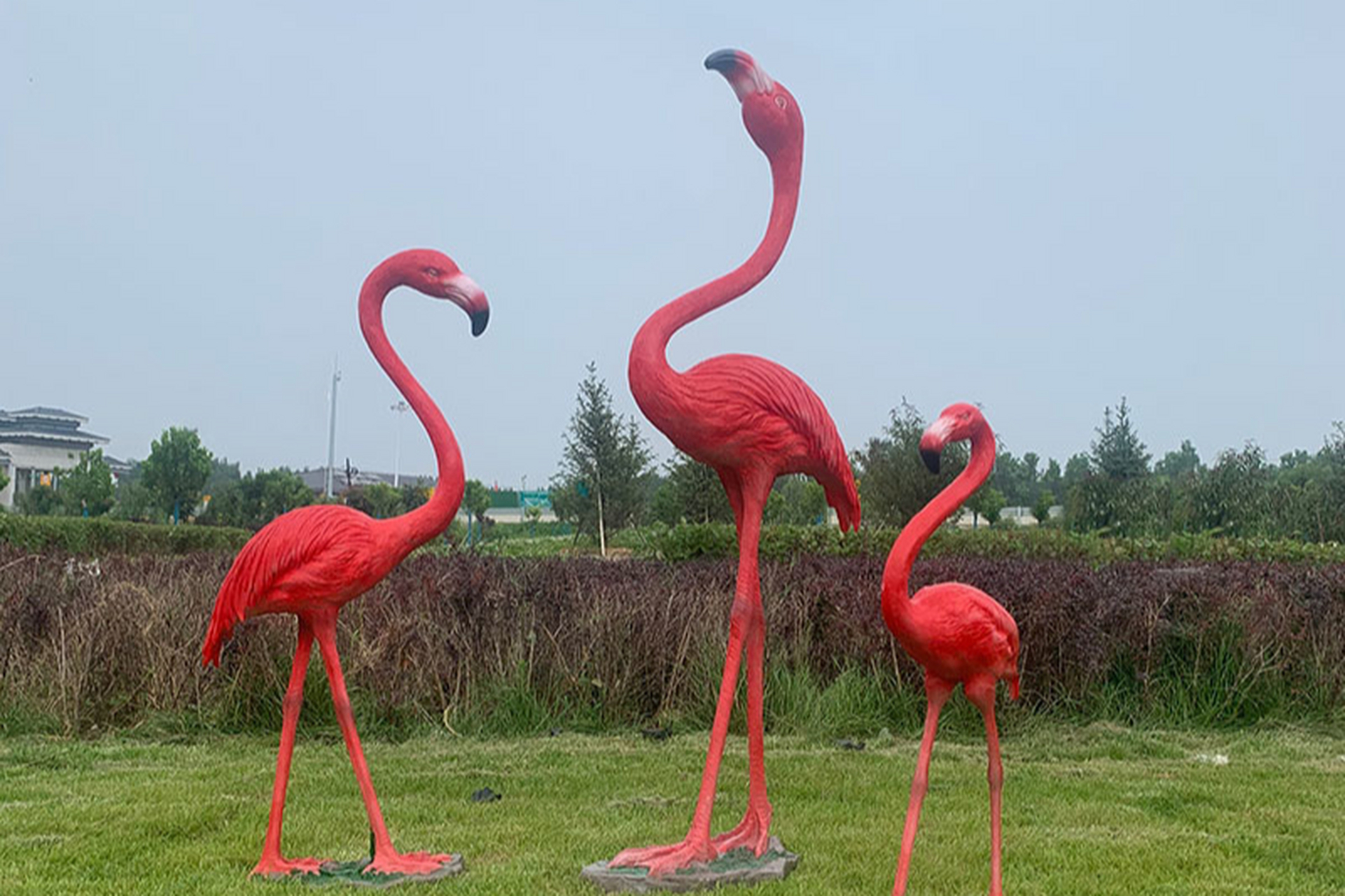 玻璃钢火烈鸟雕塑是独特的草坪装饰品,其优雅的姿态和鲜艳的色彩为