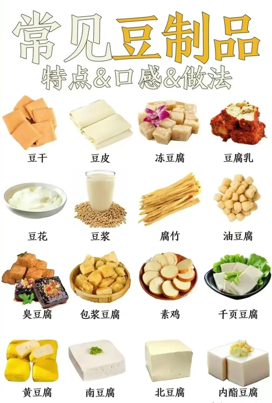 豆类大全图片带名字图片