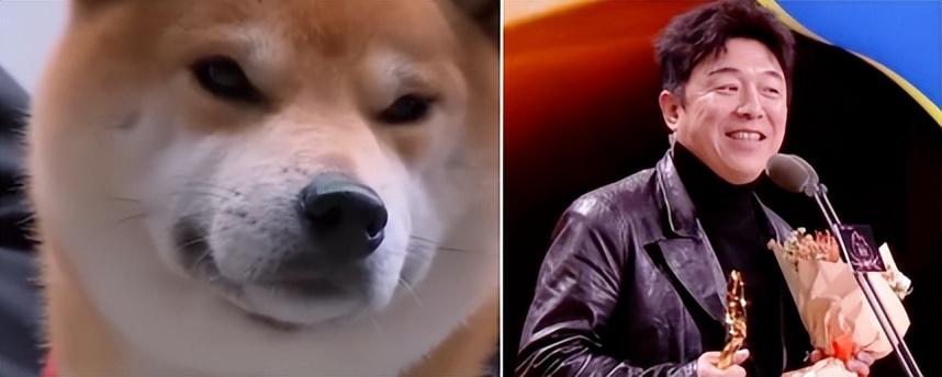 六,黄渤——躲不掉的兄弟情"孙红雷认狗"