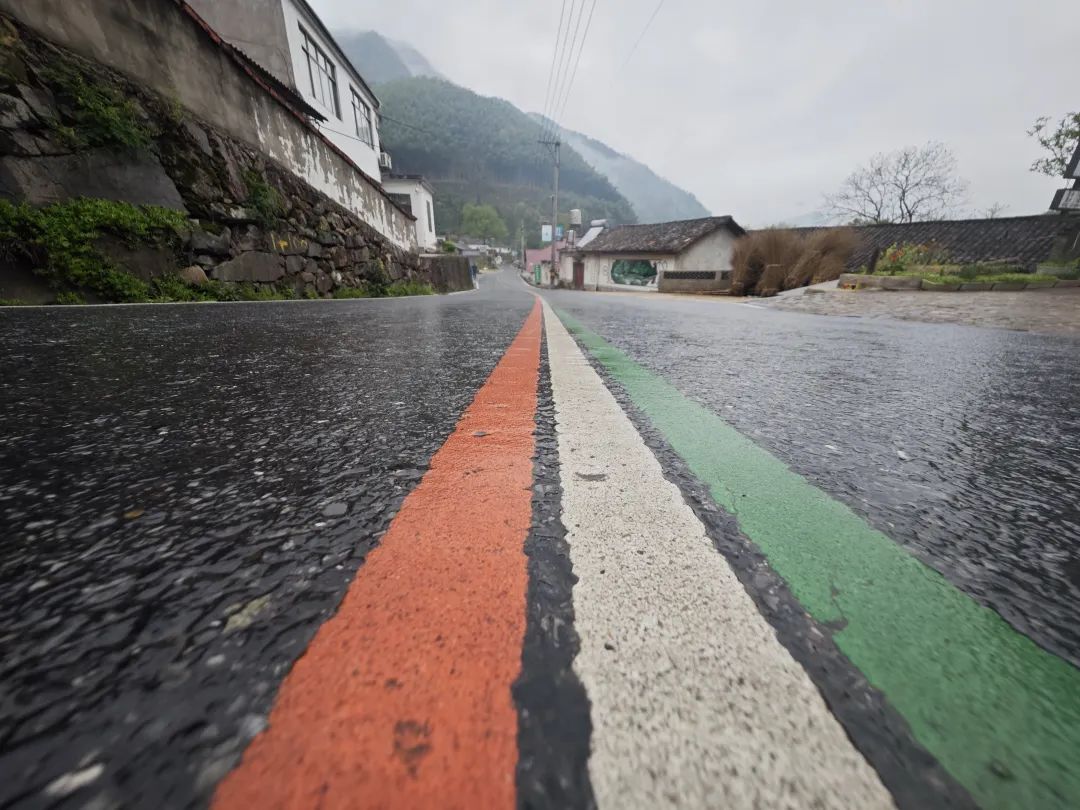 甲辰以茶之名皖南幽兰小坑兰香