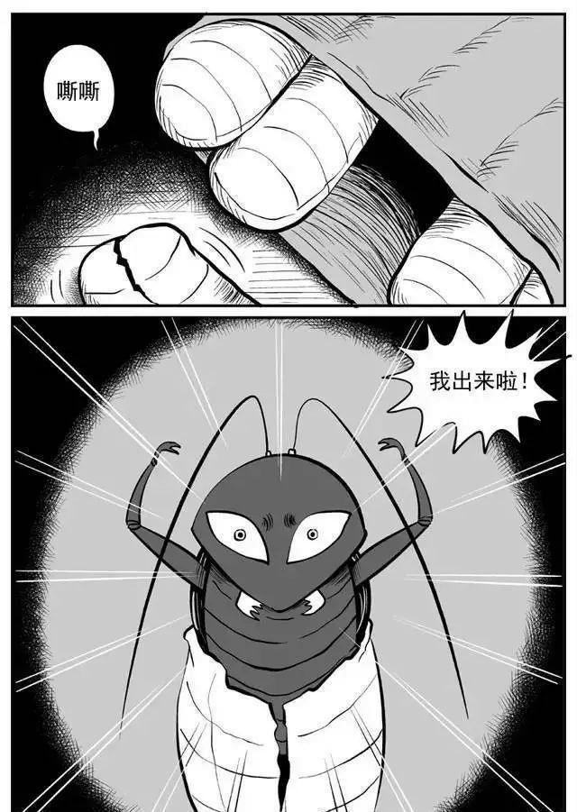 九成人不知蟑螂天敌是啥家里头放点它蟑螂集体消失了