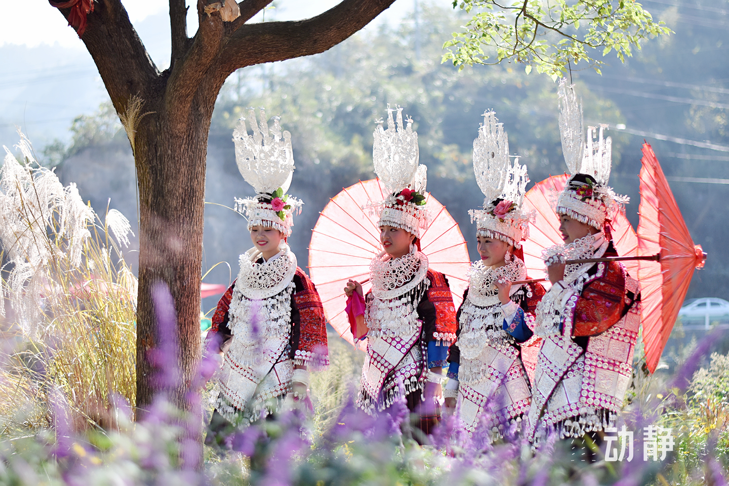 台江苗族姊妹节要来了!活动多多,不容错过