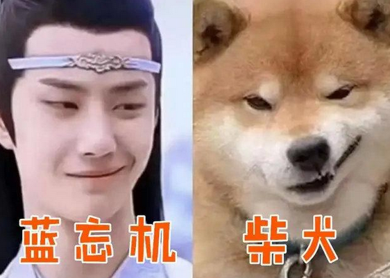 回顾撞脸动物的明星王一博还能忍看到易烊千玺简直是神似