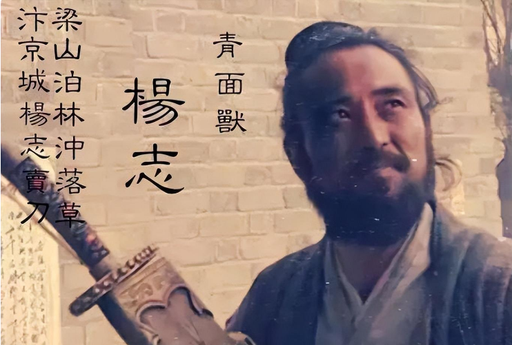 自诩为杨家将的后代,武功高强,曾与林冲,鲁智深打成平手,运气较差,先