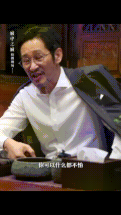 央视又赌对了城中之城54岁男三号一出场就抓住了我的眼球