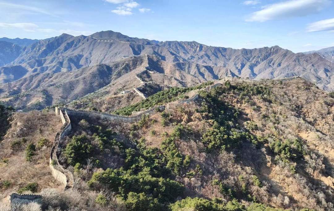 桃李沐晨色,梧桐生朝辉日月漫皓皓,山河正巍巍众鸟高飞尽,空烟四远垂