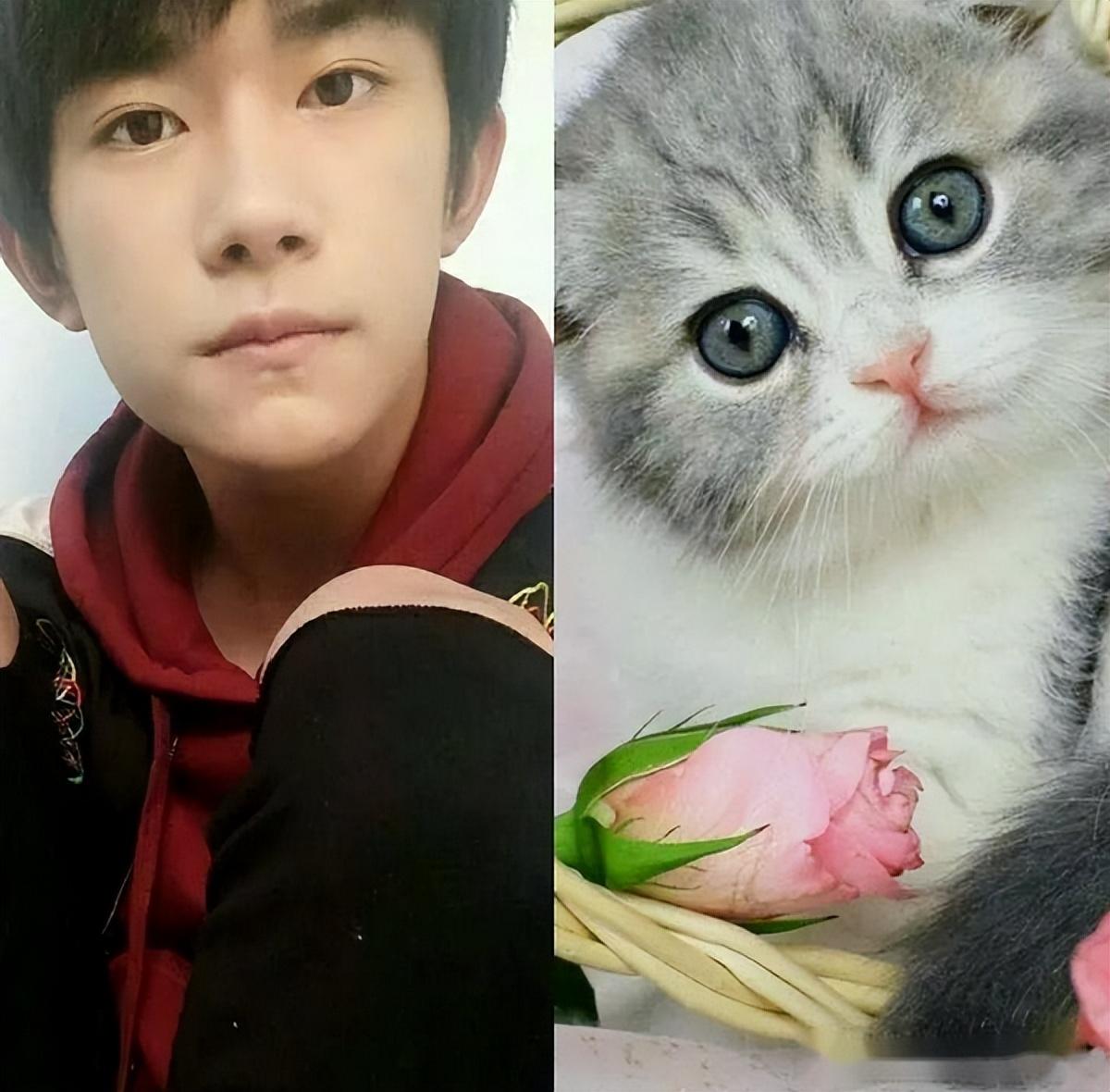 回顾撞脸动物的明星王一博还能忍看到易烊千玺简直是神似