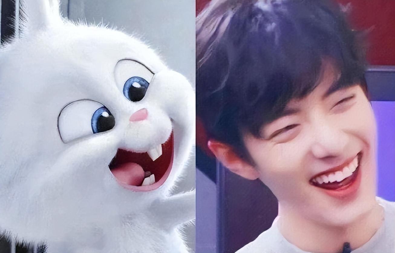 8位像动物的明星王一博肖战还能忍看到易烊千玺简直是神似