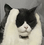 512 元,这种 " 新型手机 " 简直逆天!