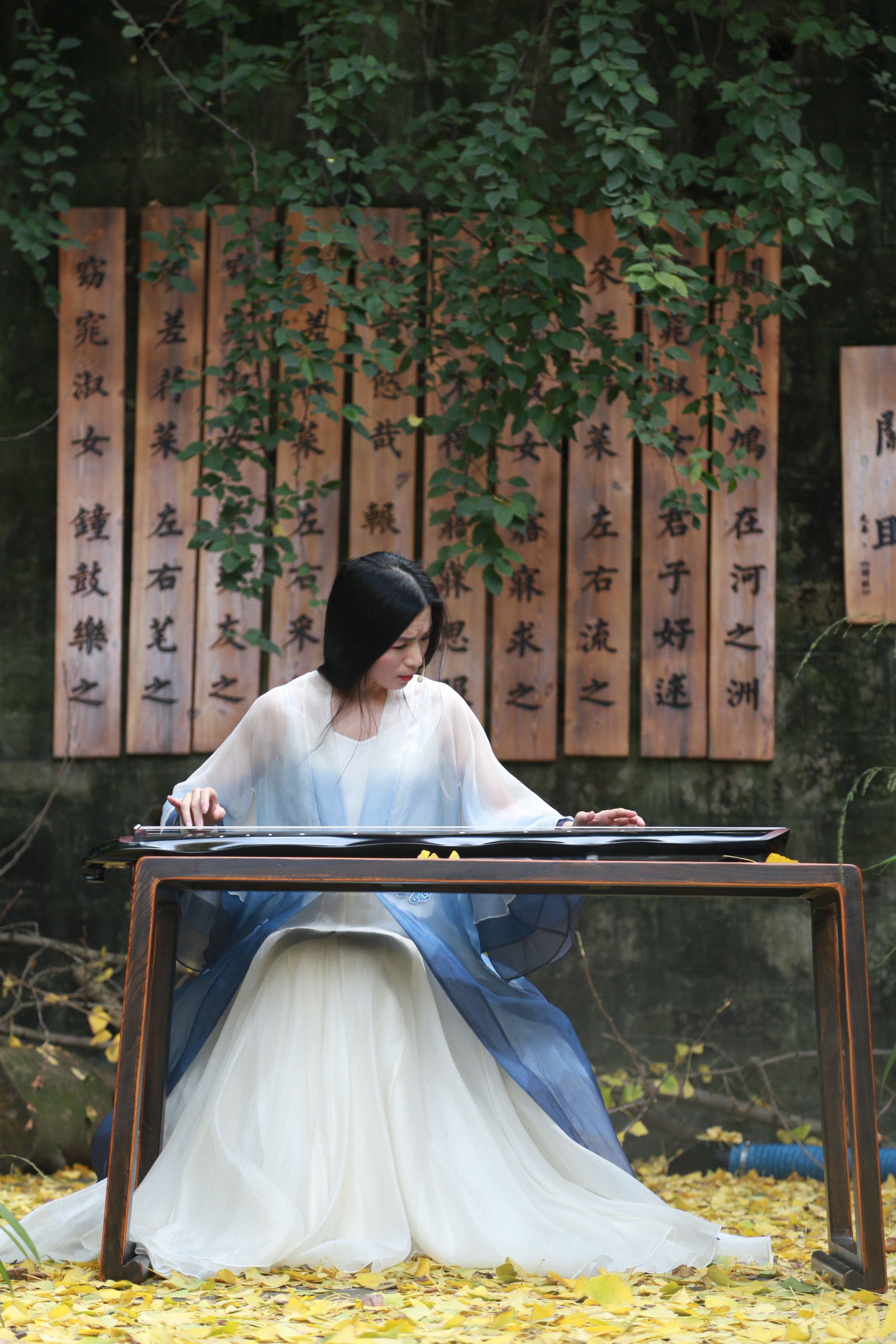 中华文化的瑰宝——古琴的前世今生,正在被更多的年轻人追捧